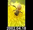 2002.04.18