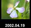 2002.04.19