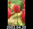 2002.04.20