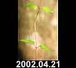 2002.04.21