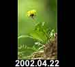 2002.04.22