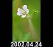 2002.04.24