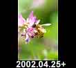 2002.04.25
