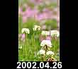 2002.04.26