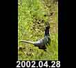 2002.04.28