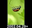 2002.04.29