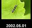 2002.05.01