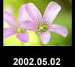 2002.05.02