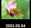 2002.05.04