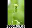 2002.05.05