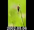 2002.05.06