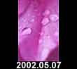 2002.05.07