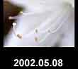2002.05.08