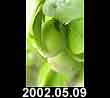 2002.05.09