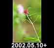 2002.05.10