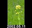 2002.05.11