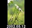 2002.05.12