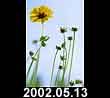 2002.05.13