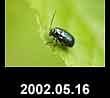 2002.05.16