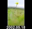 2002.05.18