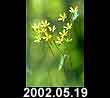2002.05.19