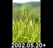 2002.05.20