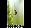 2002.05.21