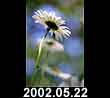 2002.05.22