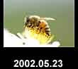2002.05.23