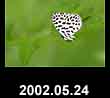 2002.05.24