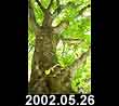 2002.05.26
