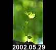 2002.05.29