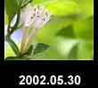 2002.05.30