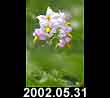 2002.05.31