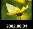 2002.06.01
