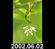 2002.06.02