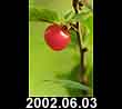 2002.06.03