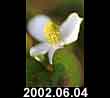 2002.06.04