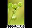 2002.06.05