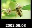 2002.06.08
