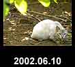 2002.06.10