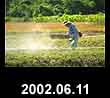 2002.06.11