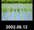2002.06.12