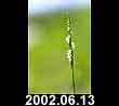 2002.06.13