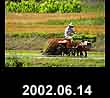 2002.06.14