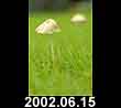 2002.06.15