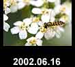 2002.06.16