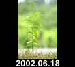 2002.06.18