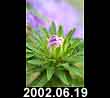 2002.06.19
