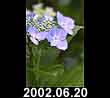 2002.06.20